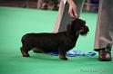 Crufts2011_2 1412